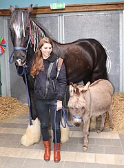 Shire Horse "Barkley" und Esel "Bertl" (&copy;Foto: Martin Schmitz)